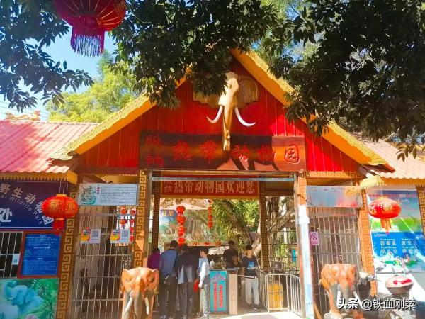 我用800字簡介西雙版納景洪市區10個免費遊景點 我用800字簡介西雙版納景洪市區10個免費遊景點