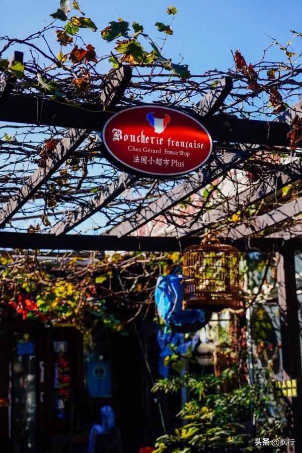 再有半個月，北京將迎來最美的季節，12個銀杏寶藏地，附機位攻略