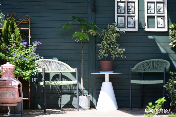 綠色背景牆的角落，聞著番木瓜花的香味賞月啦 | 園丁