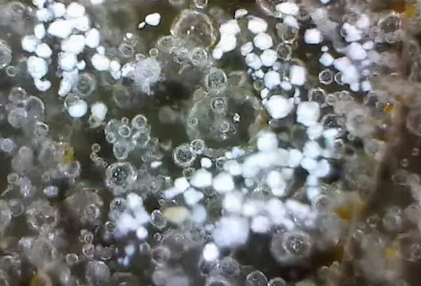 微觀古瓷器,到底看什麼呢? 微觀古瓷器,到底看什麼呢?