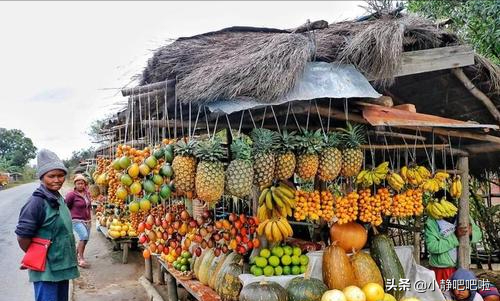 你不知道的20條國家冷知識——“奇妙的”馬達加斯加