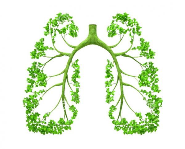 聊一下中醫四燥,秋燥來襲,咽乾咳嗽,常備兩碗湯 聊一下中醫四燥,秋燥來襲,咽乾咳嗽,常備兩碗湯