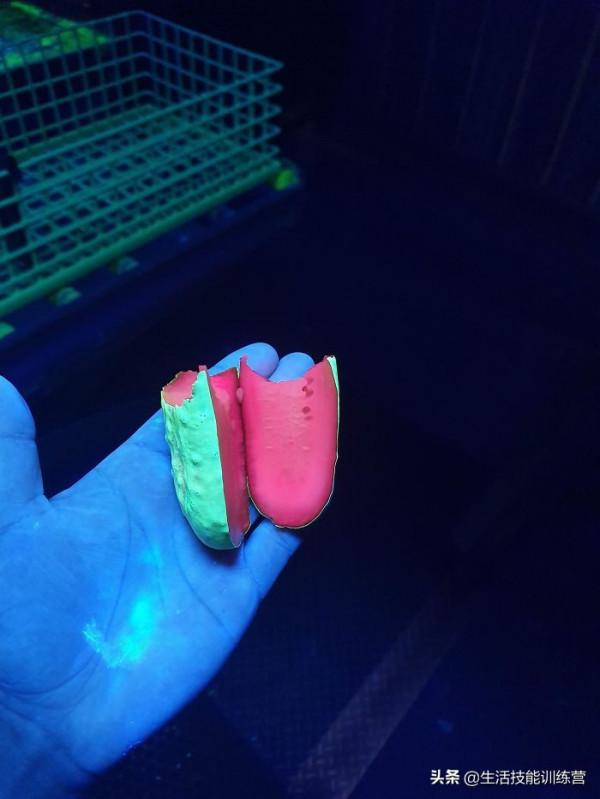 30張罕見的圖片可能會改變你的三觀