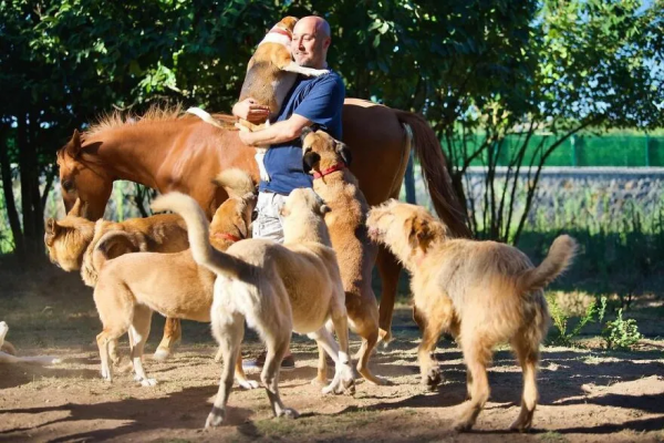 因為愛，他把農場變成了動物樂園，不僅有貓有狗，還有馬和海鷗