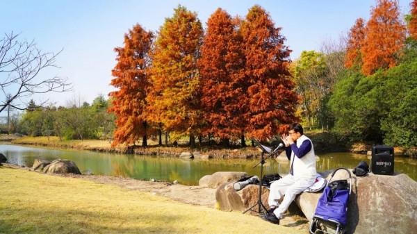 遠眺江岸、近賞湖畔，有“杉”有水的浦江第一灣，讓人驚豔