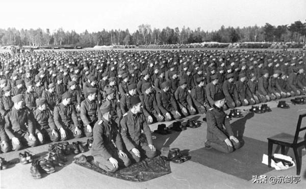 二戰系列 德國的偽軍&mdash;&mdash;武裝黨衛隊第13師的穆斯林軍隊