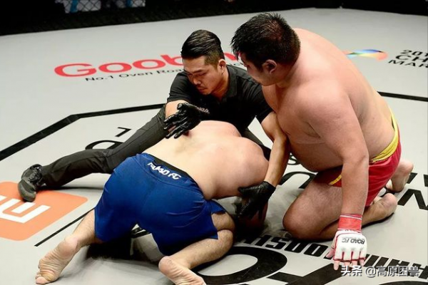 別小看胖子！功夫熊貓聽過沒？他血洗賽場，揚威海外