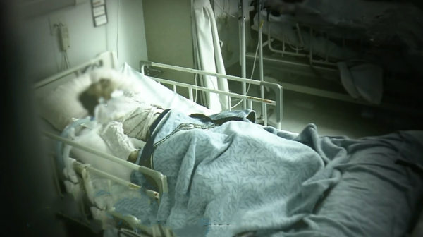 日本女子安樂死全過程：從清醒到離去僅用80秒，背後故事值得深思