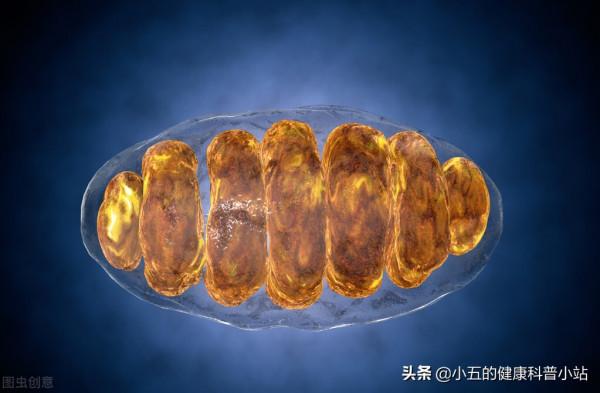 曲美他嗪是營養心肌的良藥，但這3類人群不適合服用