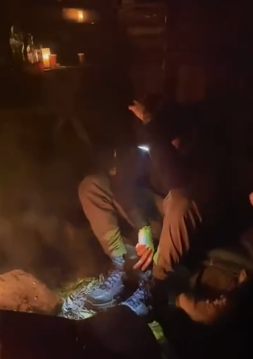 旅遊者們遇到一隻流浪貓，陪他們跋山涉水，最後被他們帶回了家