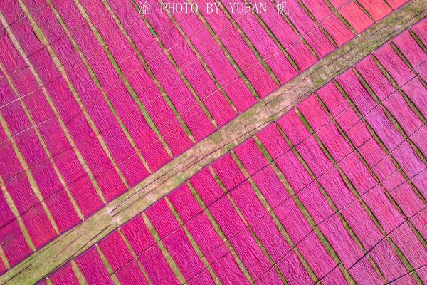 旅途中偶遇風光大片，瞭解卻是差點失傳的國家級非遺，非常了不起