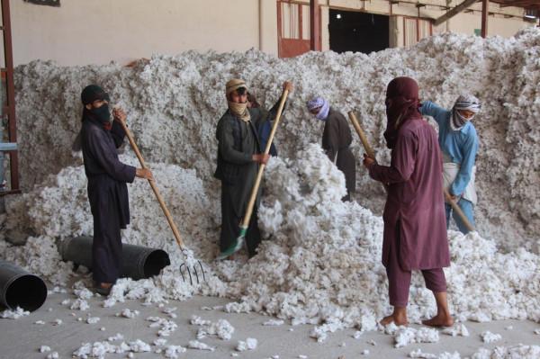 阿富汗：復工的棉花加工廠