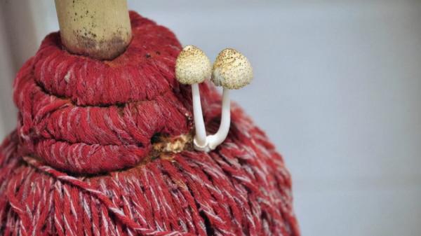 拖地時聞到一股&OpenCurlyDoubleQuote;腥味&rdquo;？教你這麼做，地板乾淨無異味