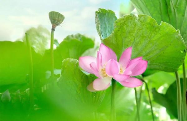 你在哪天出生,就是哪首詩 你在哪天出生,就是哪首詩