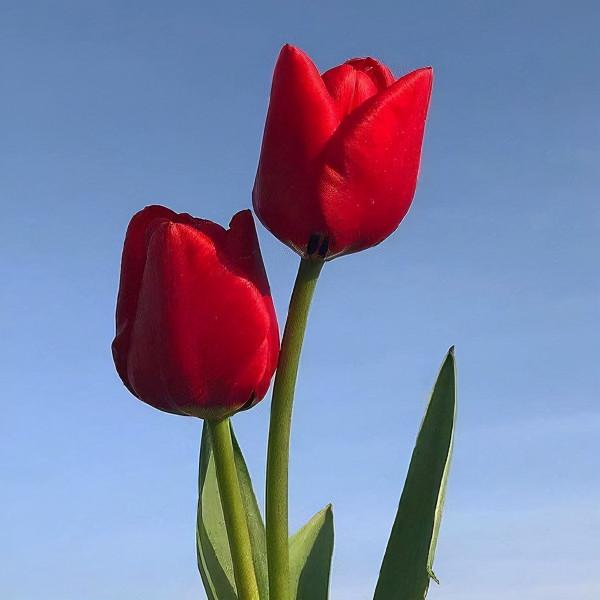 2天后，恩怨情仇，豈能孤單，不忘初心，不語也憐惜，等你一路