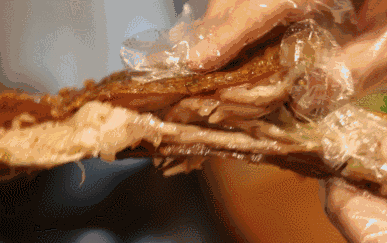 天冷了,又到了吃羊肉的季節,為何新疆半馬羊成為消費者首選? 天冷了,又到了吃羊肉的季節,為何新疆半馬羊成為消費者首選?