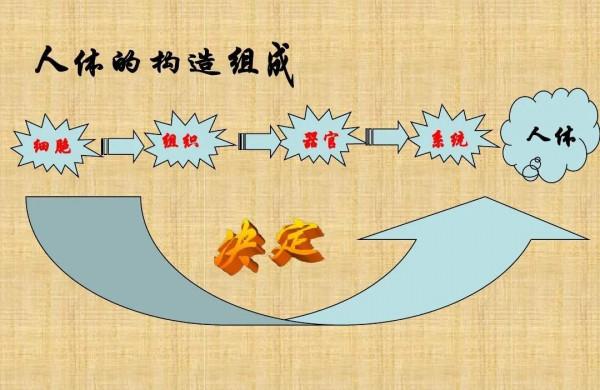 學習強國生物類（有絲分裂/線粒體/細胞膜）題目區分技巧，學起來