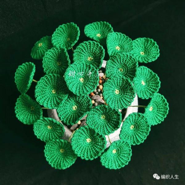 不用澆水施肥的盆栽吧！模擬微鉤銅錢草