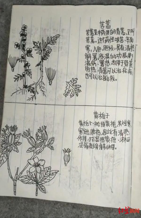 &OpenCurlyDoubleQuote;我的天才兒子？&rdquo;13歲兒子期末沒考好，父親從書包裡翻出一本手繪中草藥圖