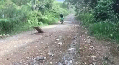 90個神奇照片，剛出生的小刺蝟，大白鯊的驚人尺寸，水上麻將桌椅