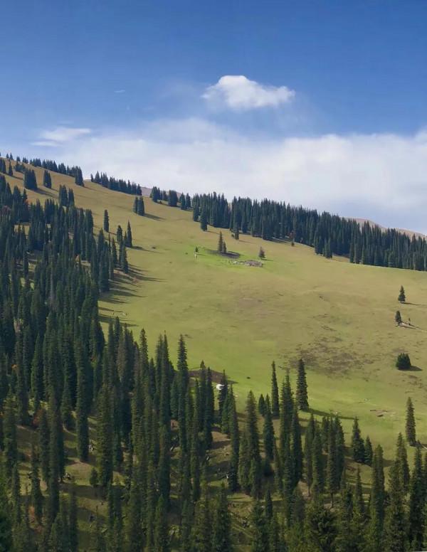 盤點新疆北疆旅遊十大必去景點（5）：東方小瑞士-那拉提草原