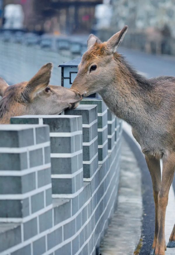 元旦最強攻略出爐！小眾美景、愜意度假、全家出遊都有，拿走去耍