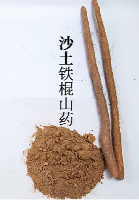 【馬博士女性&OpenCurlyDoubleQuote;養生館&rdquo;】藥食同源： &OpenCurlyDoubleQuote;三髒&rdquo;同養之佳品山藥的選擇