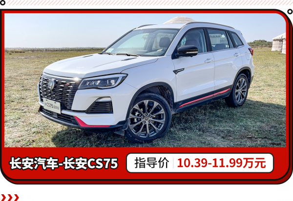 還是當地最佳車型？這些5&period;99萬起中國車暢銷海外！