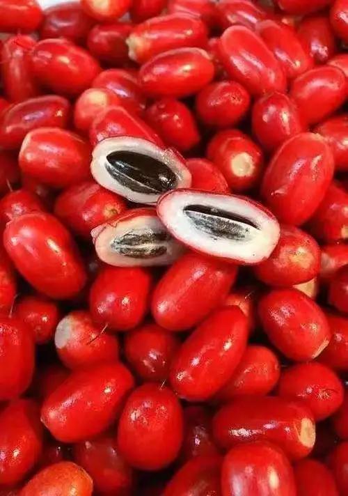 雲南的各種奇葩水果，吃法獨特，我還能叫出17種，都認識算你厲害