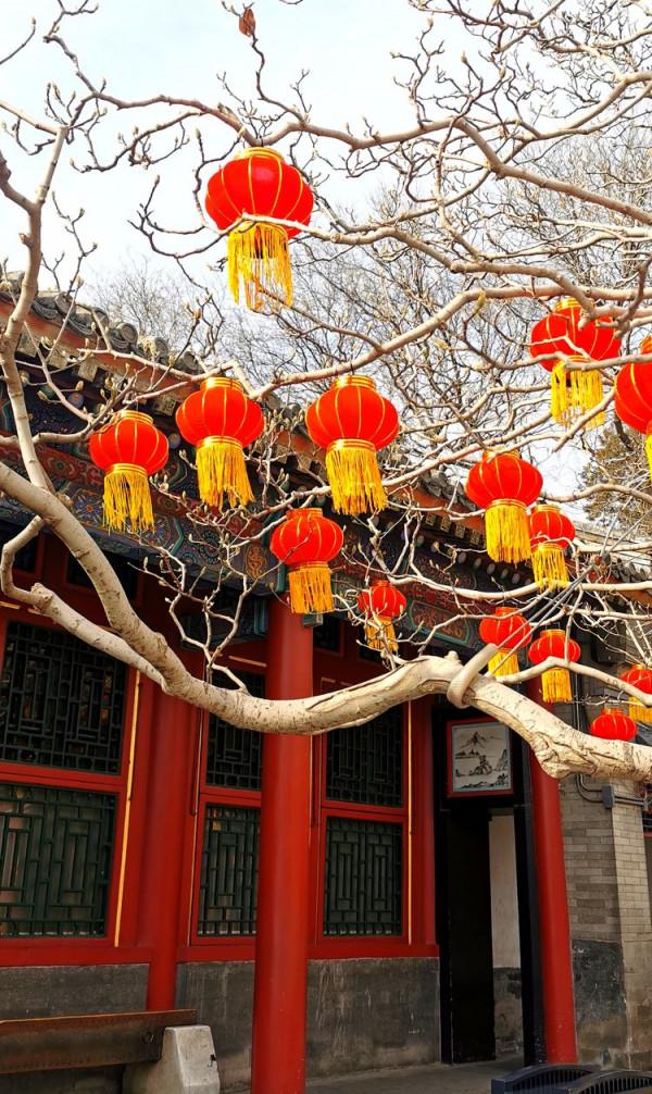 冬遊頤和園 冬遊頤和園