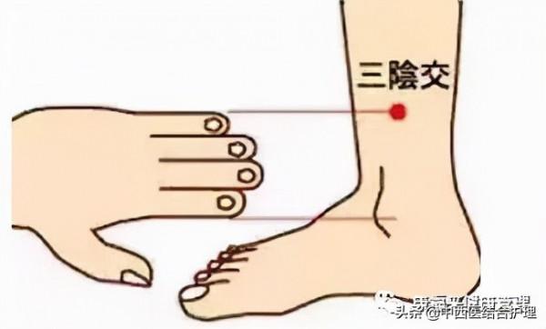 「經絡養生」人體的八個中醫養生穴位 「經絡養生」人體的八個中醫養生穴位