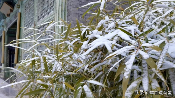 難覽觀園全畫景 雪覆臘梅一隅香&mdash;&mdash;踏雪尋遊北京大觀園