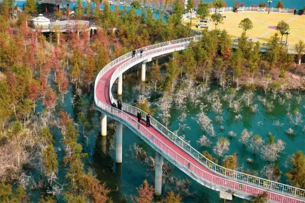 冬日，重慶美景圖鑑