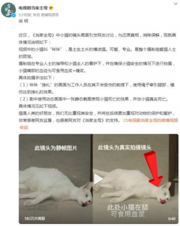 《當家》虐貓事件再升級!評分跌至3.5,蔣勤勤直呼演員不背鍋 《當家》虐貓事件再升級!評分跌至3.5,蔣勤勤直呼演員不背鍋