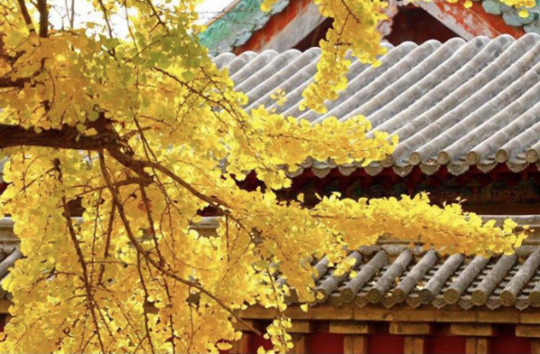 2分鐘告訴你,什麼是“順應體質”喝酒,看看你喝對了嗎? 2分鐘告訴你,什麼是“順應體質”喝酒,看看你喝對了嗎?