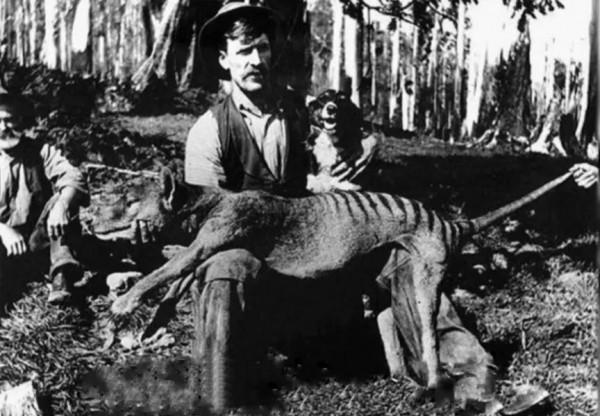 20張活久見照片，看完漲知識