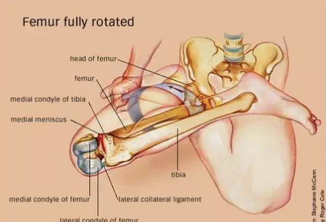 堅持雙盤的你，膝蓋學廢了嗎？