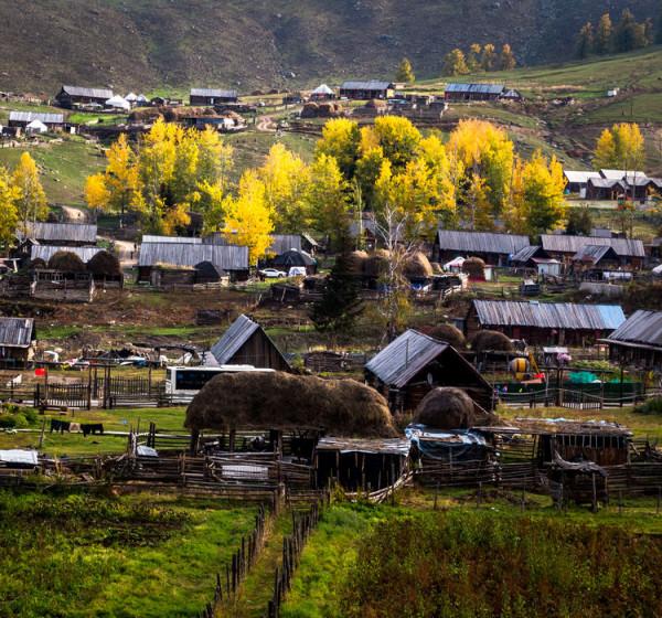 「攝影」西北第一村——白哈巴,讓你去了不想走的一個地方 「攝影」西北第一村——白哈巴,讓你去了不想走的一個地方