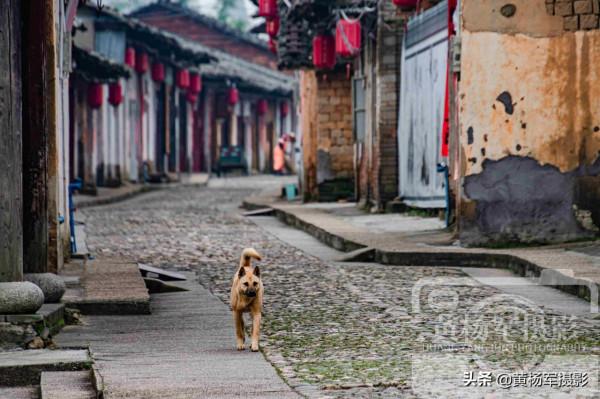 中國祠堂建築最集中的村子，因南遷歷史形成，廣東廣府人的祖居地