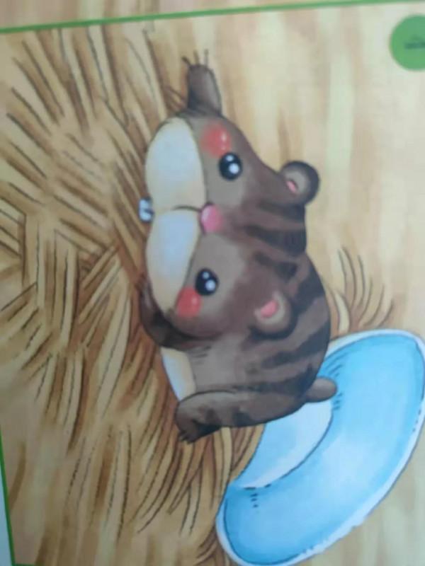 可愛的倉鼠 可愛的倉鼠