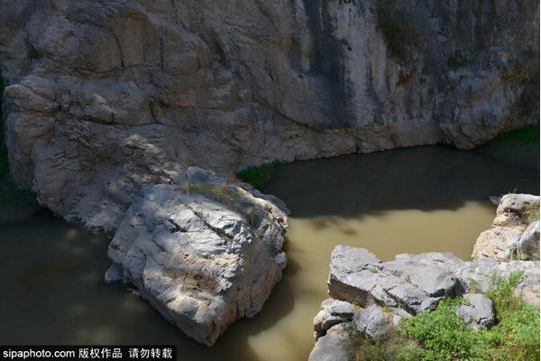 延慶區賞紅葉指南→