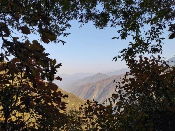 圭峰紅葉遍山,九小時歷程卻讓人驚心 圭峰紅葉遍山,九小時歷程卻讓人驚心