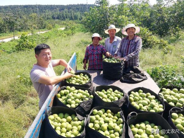 回村建房就能造福幾代人？&OpenCurlyDoubleQuote;雙料時代&rdquo;正式來臨，知情人早已準備