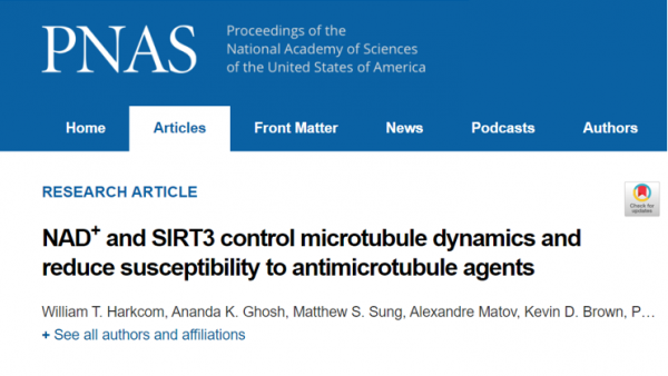 新進展!《Aging》子刊:過表多巴胺神經元蛋白,可延長壽命40% 新進展!《Aging》子刊:過表多巴胺神經元蛋白,可延長壽命40%
