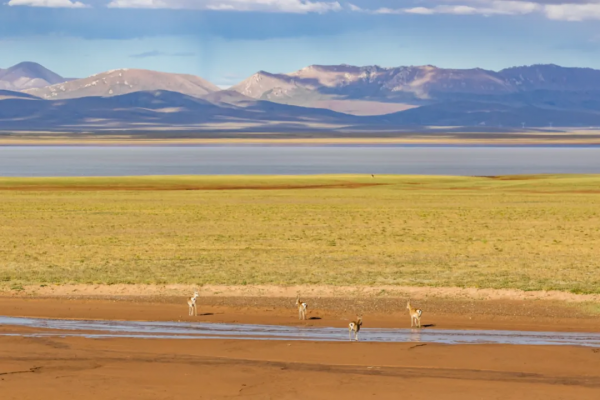 中國面積最大的國家公園,這片“人類禁區”終於限時開放了 中國面積最大的國家公園,這片“人類禁區”終於限時開放了