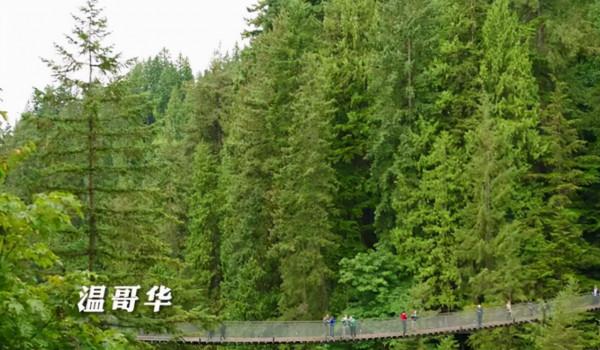 佘詩曼在《延禧攻略》一個眼神黑化，而《再創世紀》的他也做到了