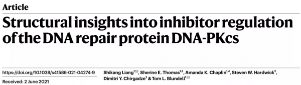 復旦校友揭開多年“不明”機理,助力DNA修復相關抗癌藥設計 復旦校友揭開多年“不明”機理,助力DNA修復相關抗癌藥設計