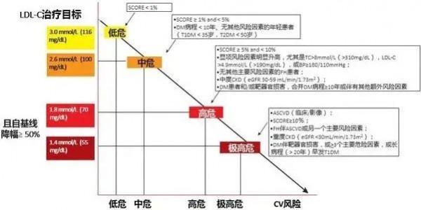 總膽固醇、甘油三酯、LDL-C&hellip;&hellip;全面解讀血脂四項