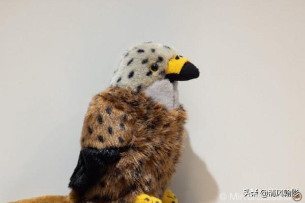 佳能微單800和600長焦鏡頭怎麼樣?不算權威的評測瞭解下 佳能微單800和600長焦鏡頭怎麼樣?不算權威的評測瞭解下