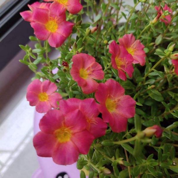 老師佈置了1份作業，導致我和孩子冷戰三天，到底是誰錯了